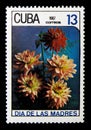 Postage stamp printed in Cuba shows Dahlias flowers, Mother`s Day serie, circa 1987