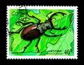 Stag Beetle (Lucanus cervus), Insects serie, circa 1995 Royalty Free Stock Photo