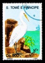 Little Egret (Egretta garzetta), Birds serie, circa 1993