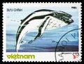 Humpback Whale (Megaptera novaeangliae), Whales serie, circa 1985