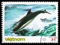 Short-Beaked Common Dolphin (Delphinus delphis), Whales serie, circa 1985