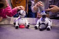 Moscow, Russia - October 04, 2019: child girl pets and plays with two Aibo Robotic pets designed and manufactured by