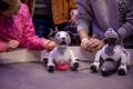 Moscow, Russia - October 04, 2019: child girl pets and plays with two Aibo Robotic pets designed and manufactured by