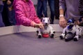 Moscow, Russia - October 04, 2019: child girl pets and plays with two Aibo Robotic pets designed and manufactured by