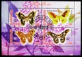 Four postage stamps printed in Chad shows from the Butterflies serie, circa 2013
