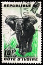 Postage stamp printed in Cote d'Ivoire shows African Elephant (Loxodonta africana), Animals serie, circa 1959 Royalty Free Stock Photo