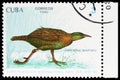 Postage stamp printed in Cuba shows Weka Gallirallus australis, International Philatelic Exhibition New Zealand-90 serie, circa