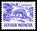 Postage stamp printed in Indonesia shows Sunda Pangolin Manis javanica, Fauna 1960 serie, circa 1956