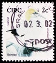 Postage stamp printed in Ireland shows Northern Gannet Morus bassanus, Bird Definitives 2002-2004 serie, circa 2002