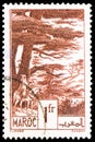 Postage stamp printed in Morocco shows Ifrane: cedar forests, Landscapes & Monuments serie, circa 1946