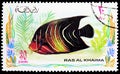 Postage stamp printed in Ras Al Khaimah shows Koran Angelfish (Pomacanthus semicirculatus), Fishes serie, circa 1972 Royalty Free Stock Photo