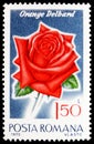 Postage stamp printed in Romania shows Orange Delbard, Roses serie, circa 1970