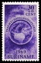 Postage stamp printed in Suriname shows Globe with Map of South America, Easter charities serie, circa 1969