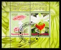 Two stamps block from the Mushrooms and Orchids serie, circa 2008