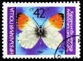 Orange Tip (Anthocharis cardamines), Butterflies serie, circa 1984