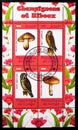 block stamps from the Mushrooms and Owls serie, circa 2009