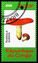 Russula aurata, Mushrooms and Orchids serie, circa 2009