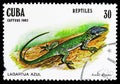 Allison's Anole (Anolis allisoni), Reptiles serie, circa 1982