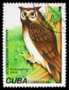 Cuban Giant Owl (Ornimegalonyz oteroi), Prehistoric Animals serie, circa 1982