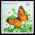 Mexican Fritillary (Euptoieta hegesia), Butterflies serie, circa 1982