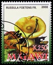 Russula foetens, Poisonous mushrooms serie, circa 2008