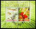 Two stamps block from the Mushrooms and Orchids serie, circa 2008