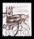 Hermit Beetle Osmoderma eremita, Nature serie, circa 1987