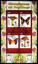 block of Mushrooms and Butterflies serie, circa 2009