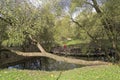 Unusual ring bridge on a small pond