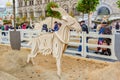 Moscow, Russia - October 05, 2019: Wooden figure of a domestic goat on the sand. Traditional festival Golden Autumn on Red Square