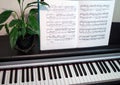 An open book of sheet music on the piano. A composition of the sheet music, flower and the piano keyboard. Royalty Free Stock Photo