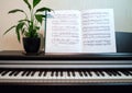 An open book of sheet music on the piano. A composition of the sheet music, flower and the piano keyboard. Royalty Free Stock Photo