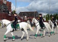 Girls - police cavalrymen demonstrate dressage on the Prospect Mira in Moscow. Royalty Free Stock Photo