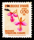 Postage stamp printed in Haiti shows Tetramicra elegans, Orchids serie, circa 1970