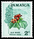 Blue mahoe - National Tree, Definitives serie, circa 1970