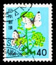 Postage stamp printed in Japan shows Rapeseed Flowers and Butterfly, Fauna, Flora and Cultural Heritage serie, circa 1980