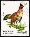 Postage stamp printed in Sharjah shows Hazel Grouse (Tetrastes bonasia), Birds serie, circa 1972