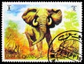 Postage stamp printed in Umm Al Quwain shows African Elephant (Loxodonta africana), Animals in the wild serie, circa 1971 Royalty Free Stock Photo