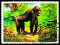 Postage stamp printed in Umm Al Quwain shows Gorilla (Gorilla gorilla), Animals in the wild serie, circa 1971
