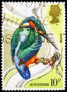 Postage stamp printed in United Kingdom shows Common Kingfisher (Alcedo atthis), Centenary of Wild Bird Protection Act serie, Royalty Free Stock Photo