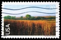Nine-Mile Prairie, Nebraska, Landscapes serie, circa 2001