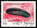 Postage stamp printed in Vietnam shows Greenfish Sea Cucumber Stichopus chloronotus, Marine Life serie, circa 1985