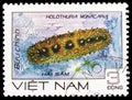 Postage stamp printed in Vietnam shows Holothuria Holothuria monacaria, Marine Life serie, circa 1985