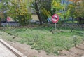 Signs `Do not feed the pigeons` stands on the background of a flock of birds in Moscow