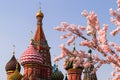 Moscow, Russia, St. Basil`s Cathedral, the Kremlin and Vasilyevsky Descent in the spring surrounded by artificia