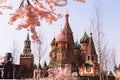 Moscow, Russia, St. Basil`s Cathedral, the Kremlin and Vasilyevsky Descent in the spring surrounded by artificia