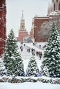 Kremlin Towers Framed by Christmas Trees in Snow Royalty Free Stock Photo