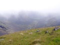 Mosedale in low cloud seen from Wind Gap, Lake District