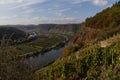 Mosel Royalty Free Stock Photo