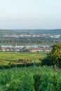 Mosel river